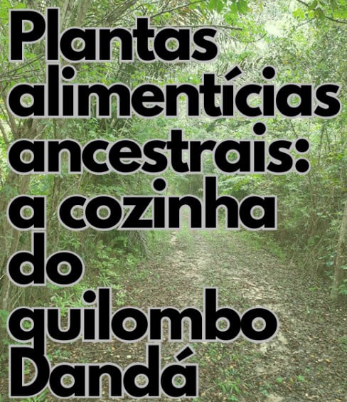 Livro Plantas alimentícias ancestrais: a cozinha do quilombo Dandá